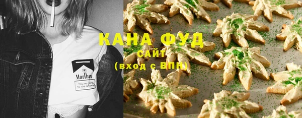 МДПВ Михайлов